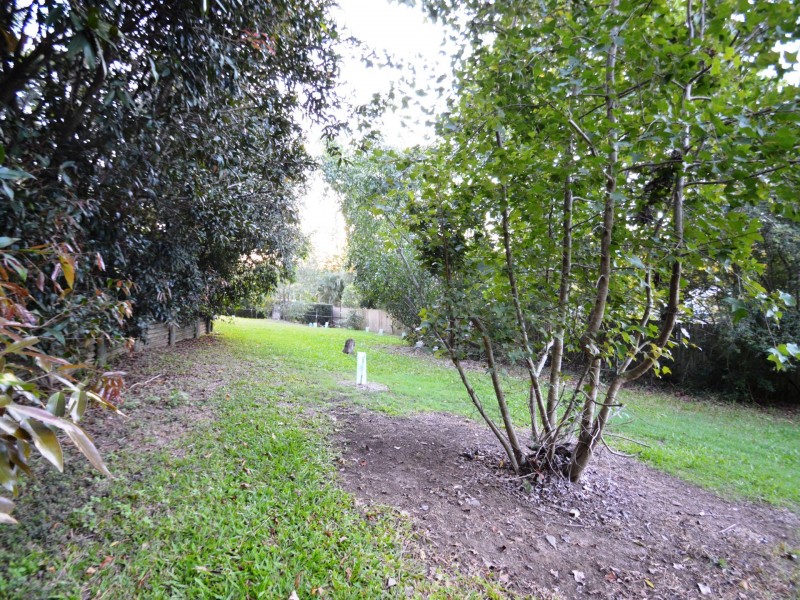 10 Rocklily Court, Shailer Park QLD 4128