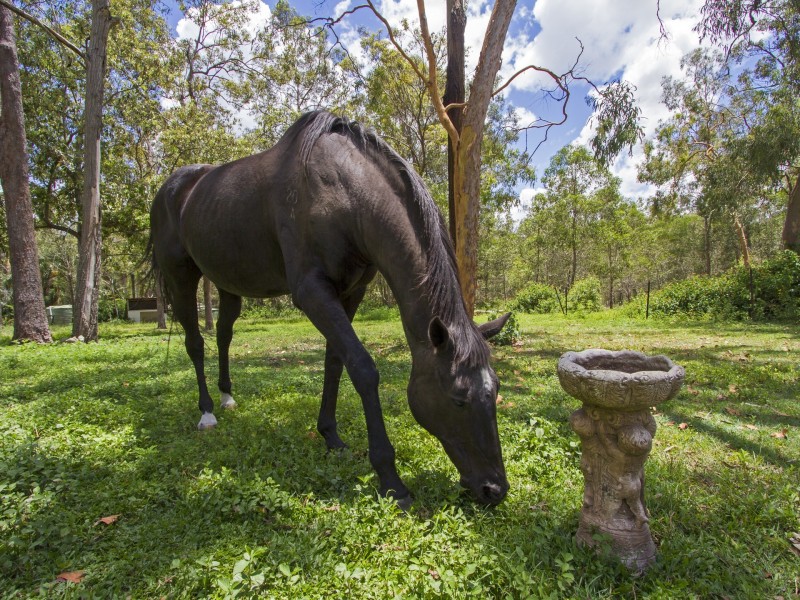 59-61 Stanley Court, Munruben QLD 4125