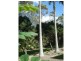 Shailer Park QLD 4128