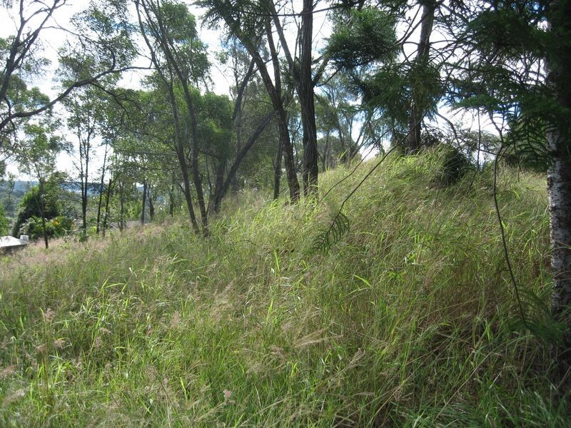 Edens Landing QLD 4207