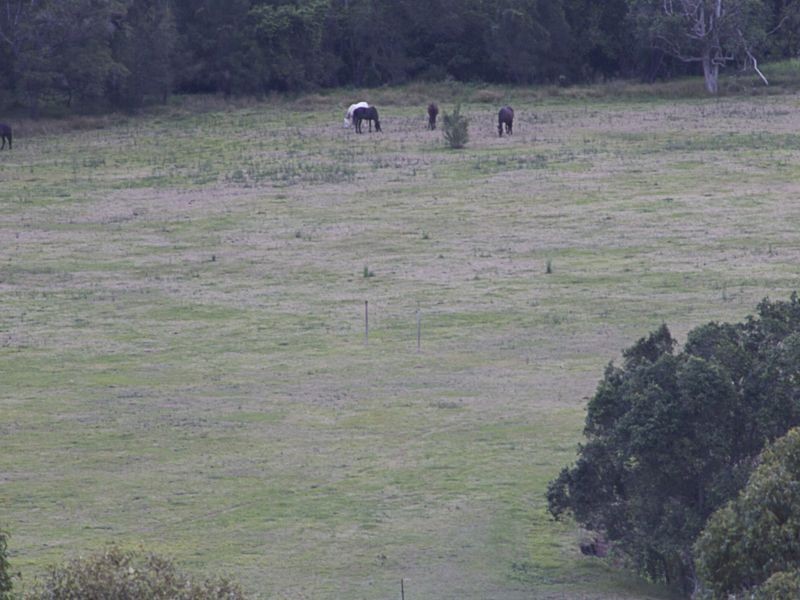 24/128 Murrays Road, Tanah Merah QLD 4128