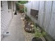 Shailer Park QLD 4128