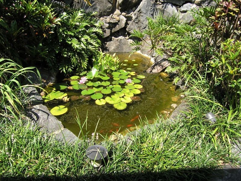 Tanah Merah QLD 4128