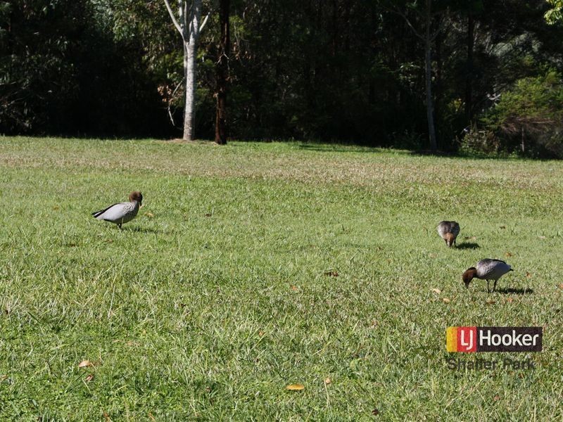 19 Lynette Way, Daisy Hill QLD 4127