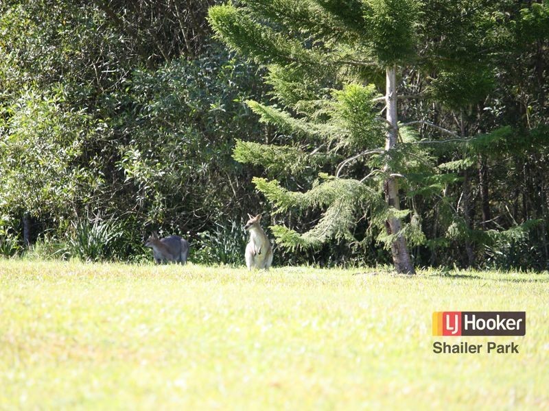 19 Lynette Way, Daisy Hill QLD 4127