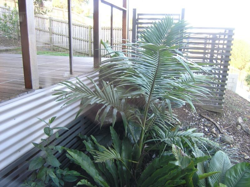 Shailer Park QLD 4128