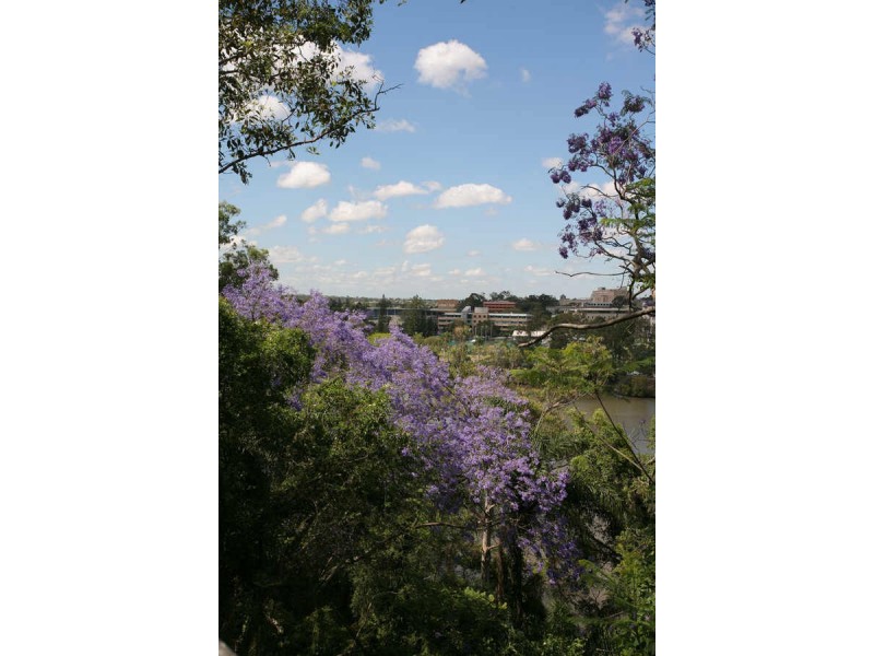 53 Fraser Tce, Highgate Hill QLD 4101