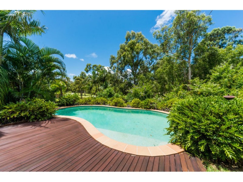 5 Hazel Court, Arundel QLD 4214