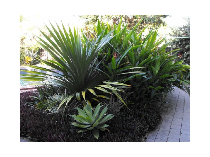 39 Dowling Drive, Southport QLD 4215