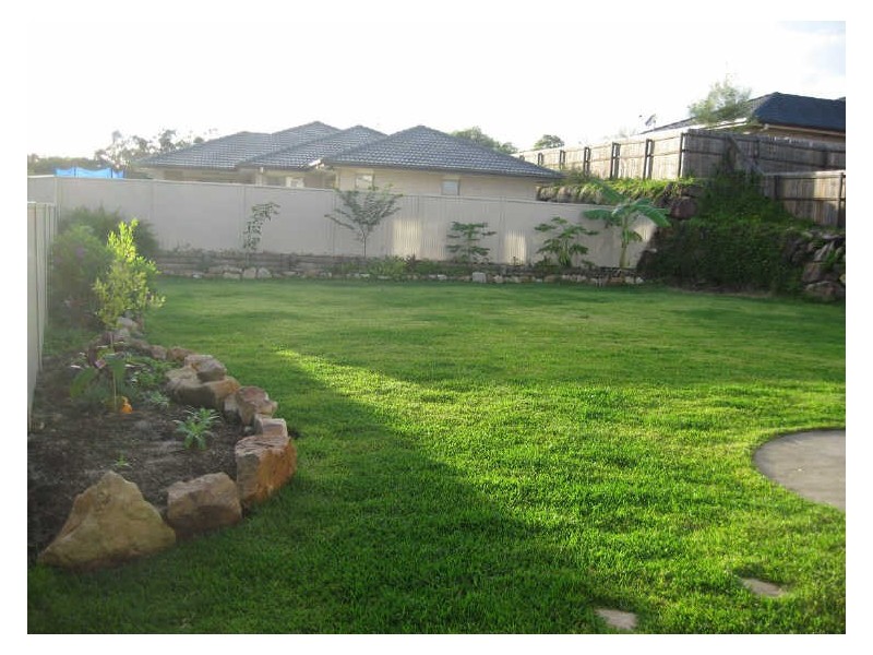 6 Rimu Street, Molendinar QLD 4214