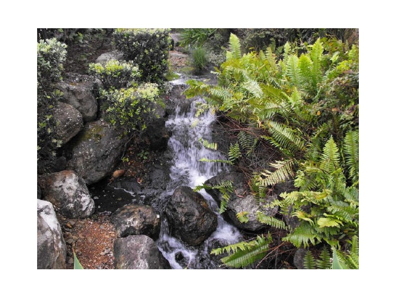 13/4 Thornton Street, Surfers Paradise QLD 4217