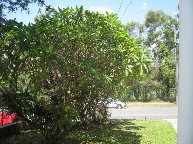 37 Brolga Avenue, Southport QLD 4215