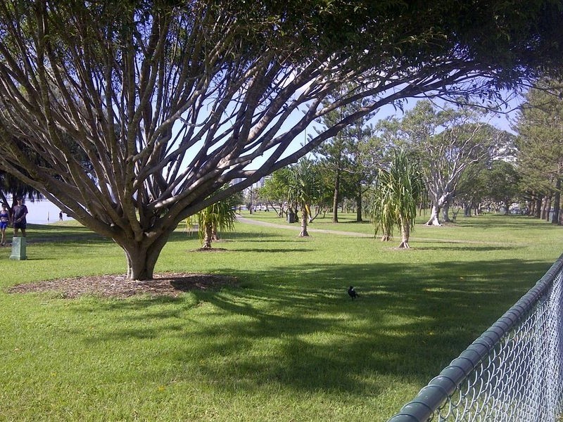 5/3 Central Street, Labrador QLD 4215