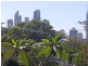 25 Magnolia Drive, Southport QLD 4215