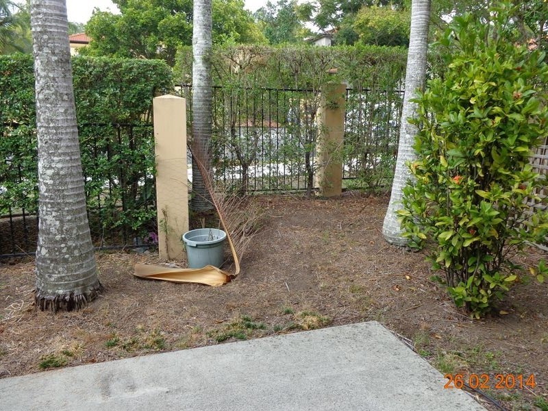 2/119 Pohlman Street, Southport QLD 4215