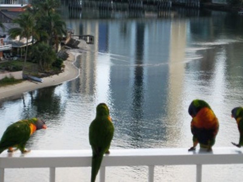 61/30 Watson Esplanade, Surfers Paradise QLD 4217