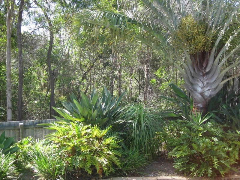 9 Imperia  Crescent, Varsity Lakes QLD 4227