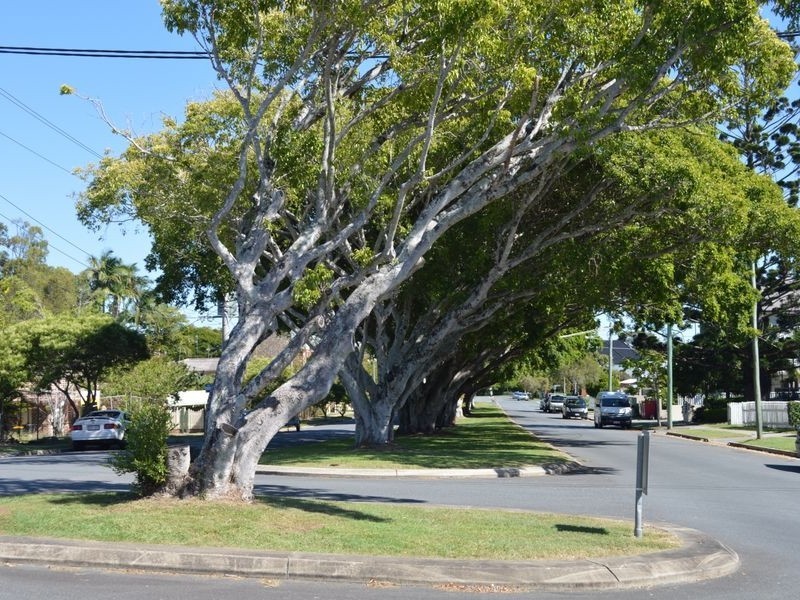 5/13 Walton Street, Southport QLD 4215