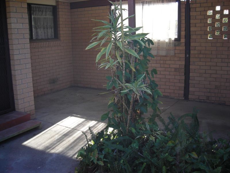 1/25 Enid Avenue, Southport QLD 4215