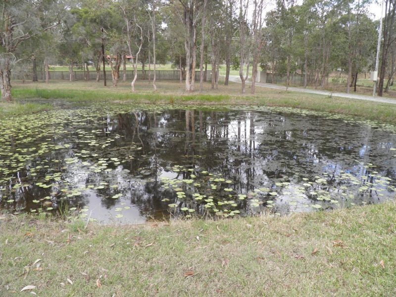 48 Maranoa Drive, Logan Village QLD 4207