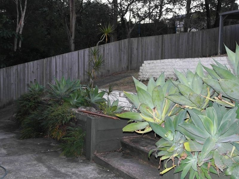 64 Celandine Street, Shailer Park QLD 4128