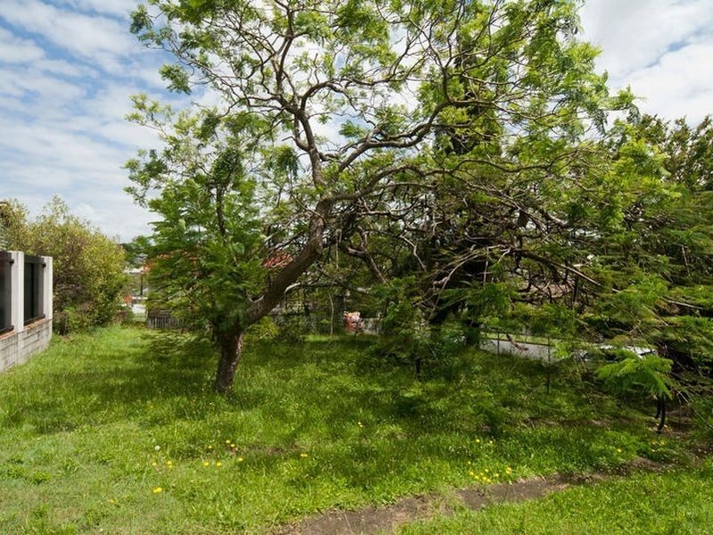 81 Raff Avenue, Holland Park QLD 4121