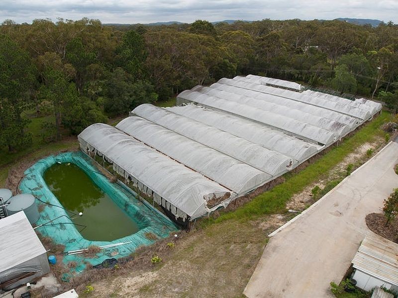 19 Haven Road, Carbrook QLD 4130