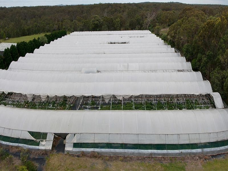 19 Haven Road, Carbrook QLD 4130