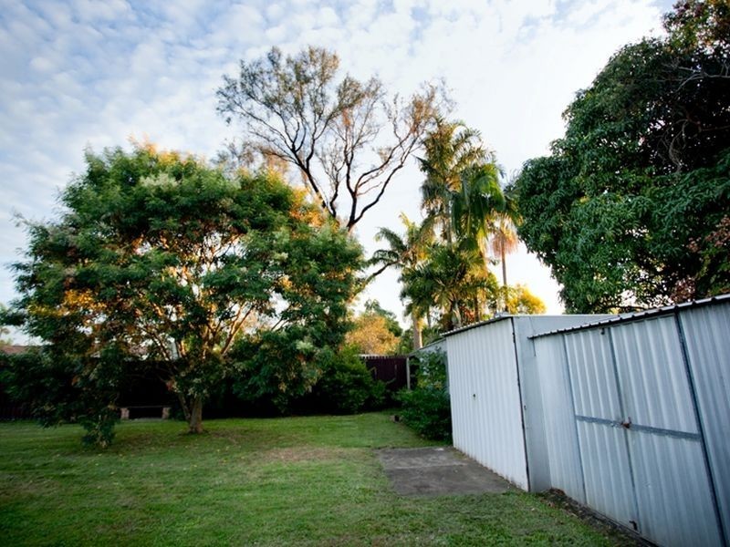 16 Collard Street, Slacks Creek QLD 4127