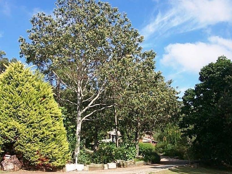 25 Tingi Ave, Tanah Merah QLD 4128