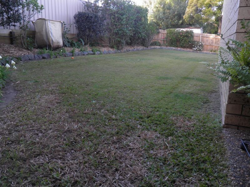56 Brentwood Drive, Daisy Hill QLD 4127