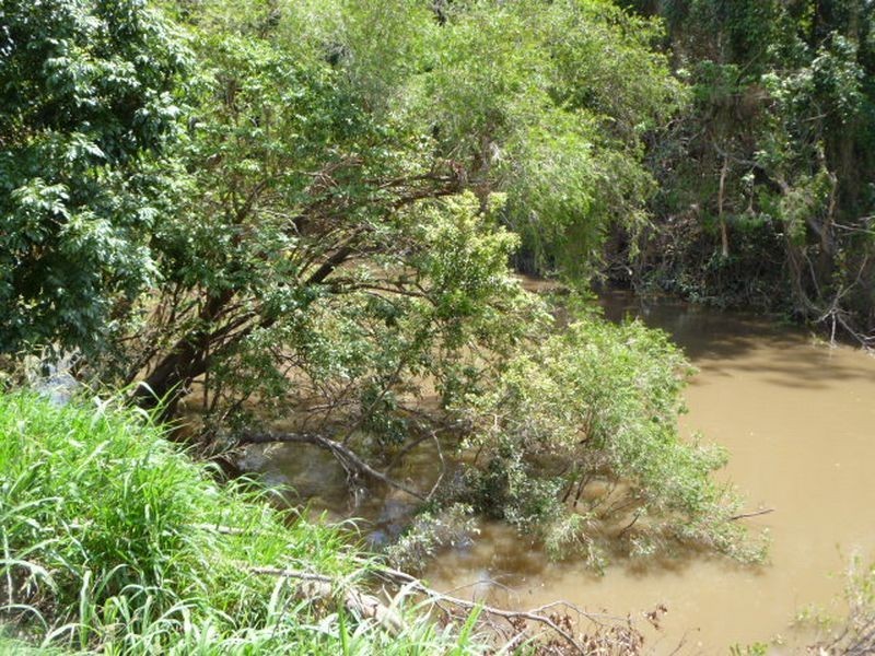 202 Boomerang Road, Tamborine QLD 4270