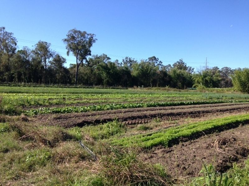 249 Second Ave, Marsden QLD 4132