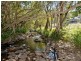 518 Cedar Creek Road, Alberton QLD 4207