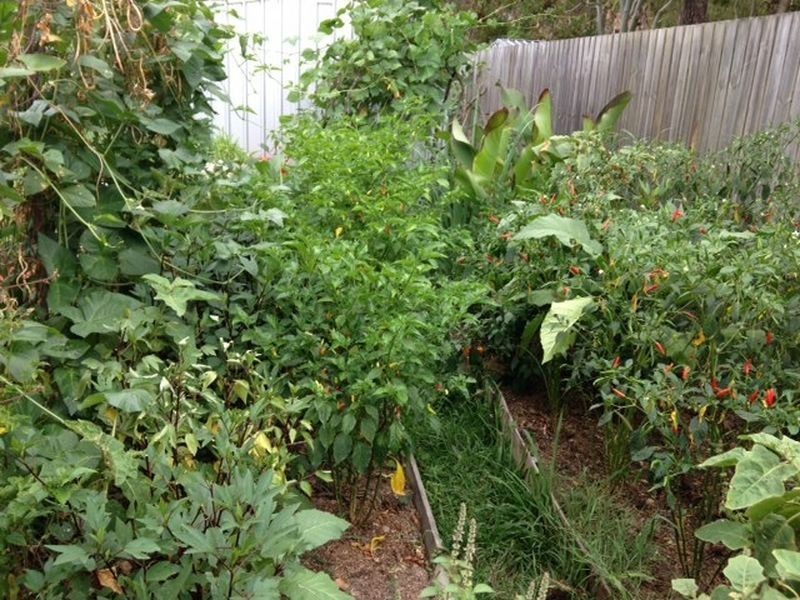 30 Omar Street, Woodridge QLD 4114