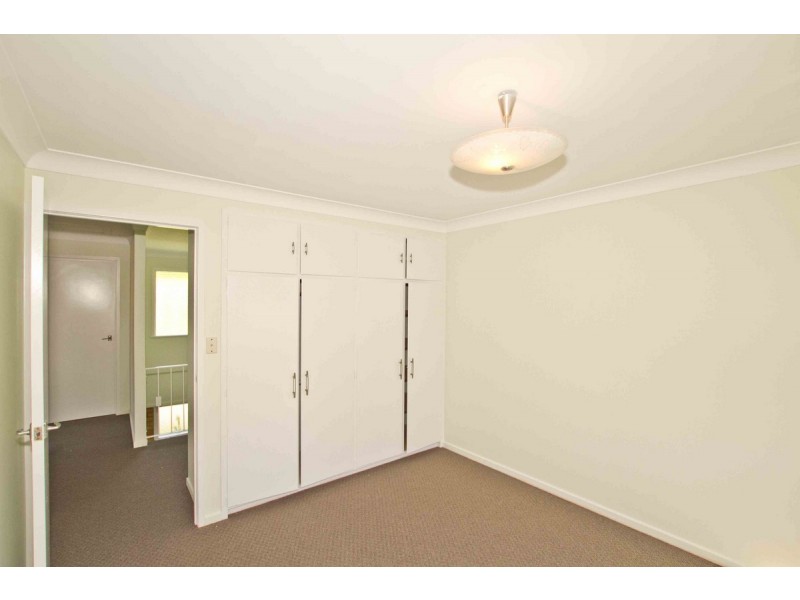 41 Braidwood Street, Everton Park QLD 4053