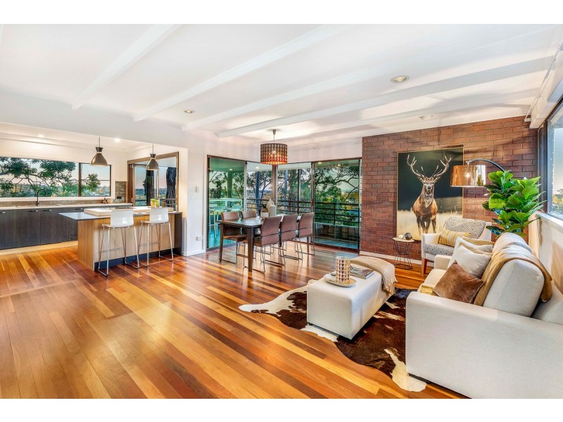 24 Belfort Street, Stafford Heights QLD 4053