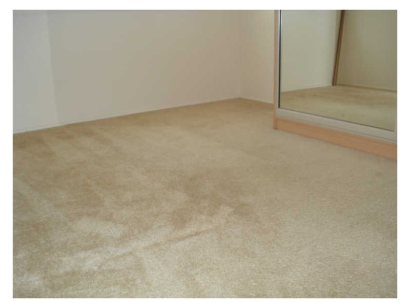 47 Boothby Street, Kedron QLD 4031