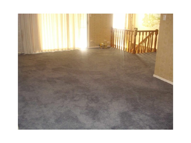 19 Heflin Street, Everton Park QLD 4053