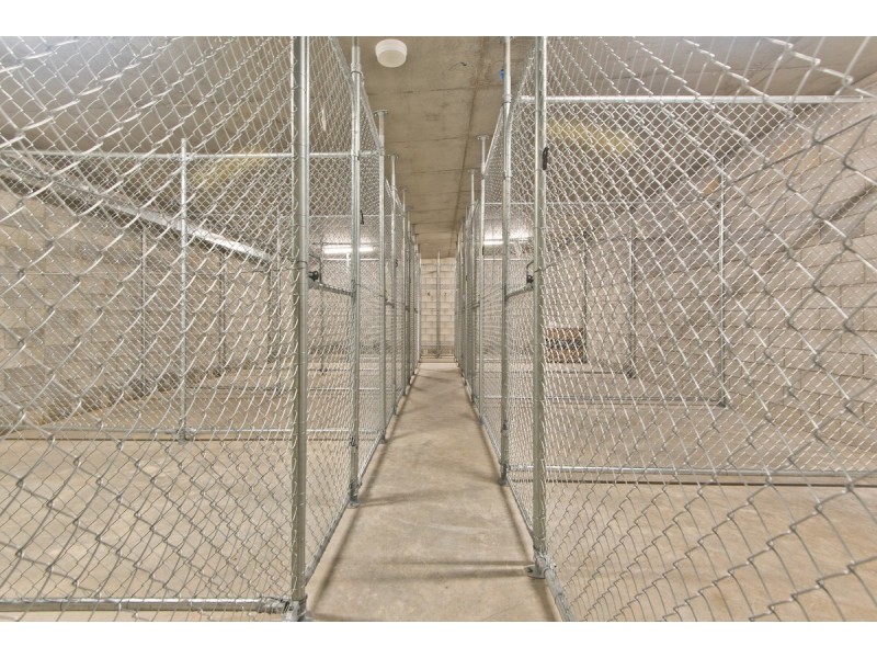 11/20 Minimine Street, Stafford QLD 4053