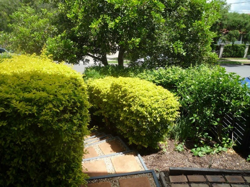 1/70 Fifth Avenue, Wilston QLD 4051