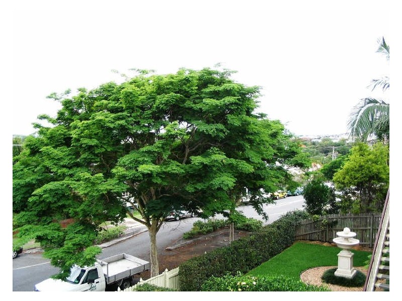 1/28 Bonython Street, Windsor QLD 4030