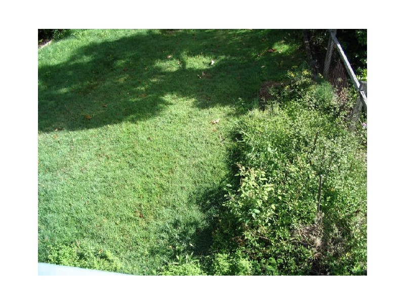 44 Carberry Street, Grange QLD 4051