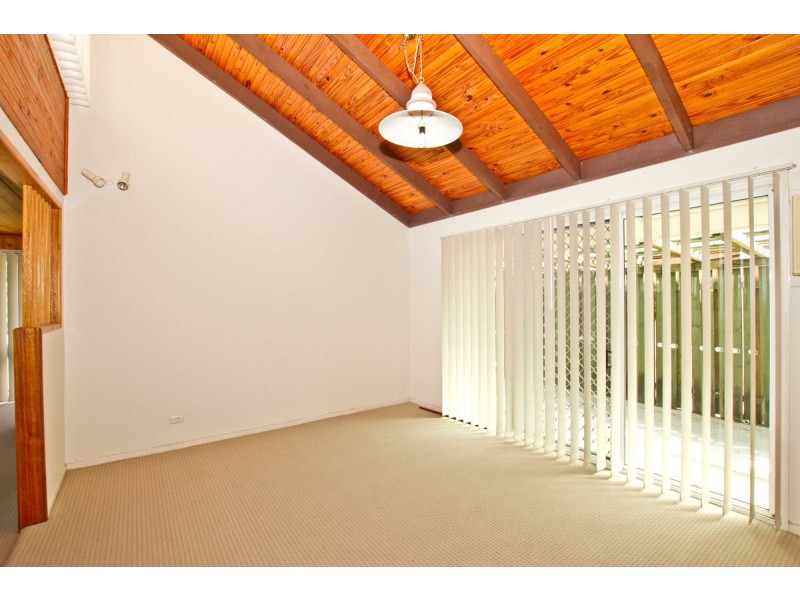 50 Pimelea Street, Everton Hills QLD 4053