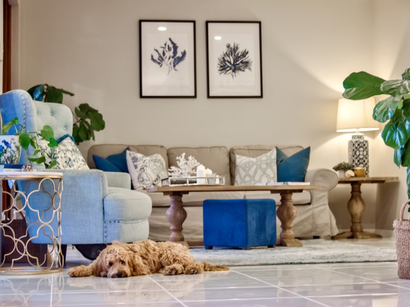 133 Minimine Street, Stafford QLD 4053