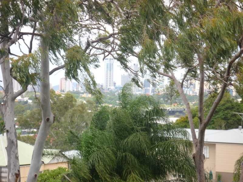 8 Watson Street, Newmarket QLD 4051