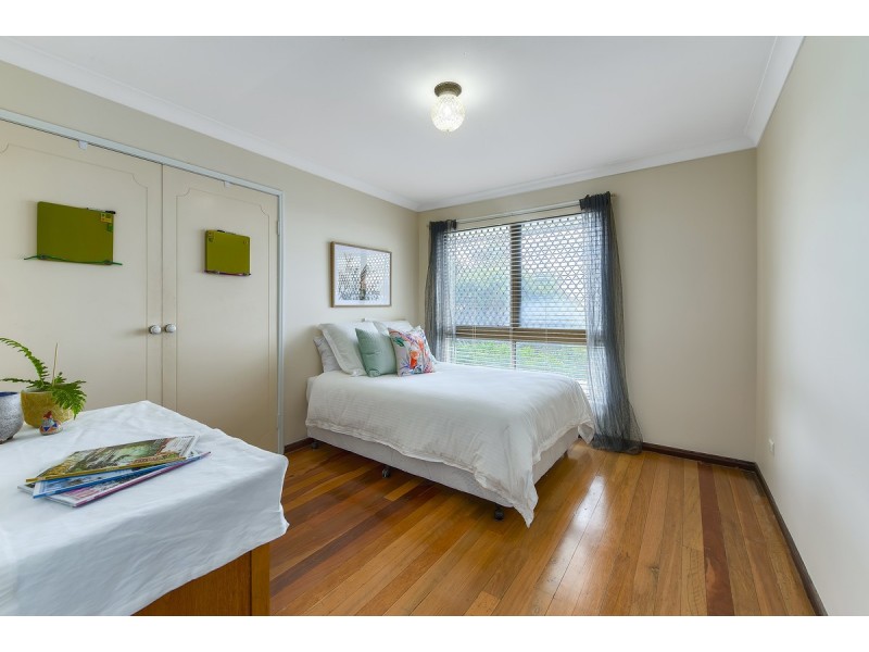 45 Whitehorse Street, Carseldine QLD 4034