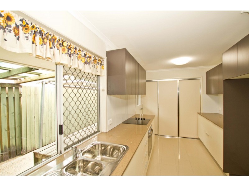 50 Pimelea Street, Everton Hills QLD 4053