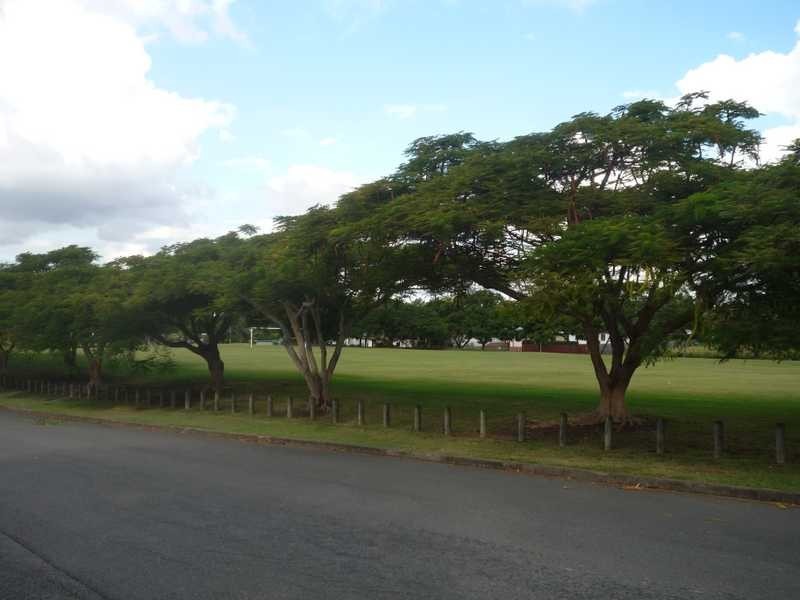 6 Nevitt Street, Stafford QLD 4053