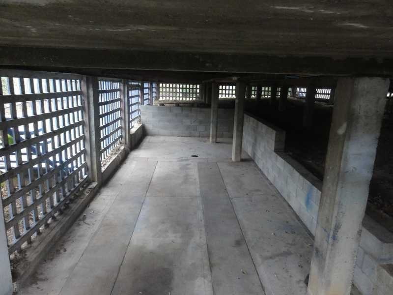 5 Sedgemoor Street, Stafford Heights QLD 4053